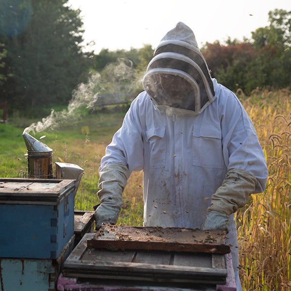 Our Commitment to Local Honeybees